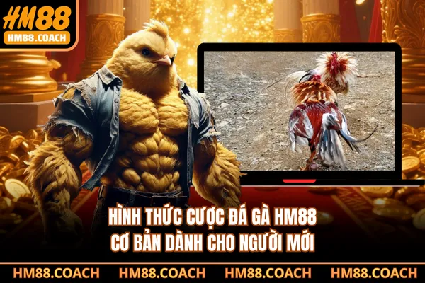 Hình thức cược đá gà HM88 cơ bản dành cho người mới Hình thức cược đá gà HM88 cơ bản dành cho người mới