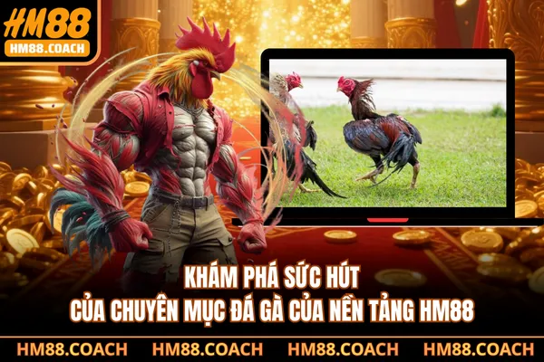 Khám phá sức hút của chuyên mục đá gà của nền tảng HM88 Khám phá sức hút của chuyên mục đá gà của nền tảng HM88