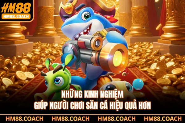 Những kinh nghiệm giúp người chơi săn cá hiệu quả hơn Những kinh nghiệm giúp người chơi săn cá hiệu quả hơn